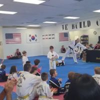 Black Tiger Tae Kwon Do ico
