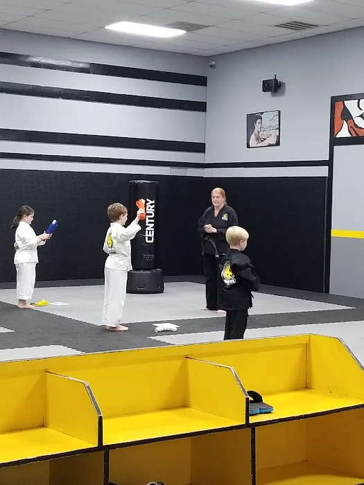 Columbia Martial Arts and Fitness Picture 1