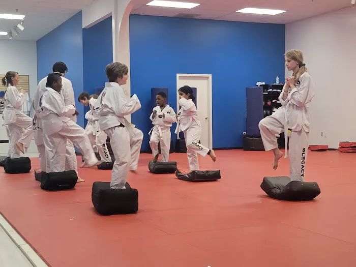 Legacy Martial Arts - Columbia Picture 4