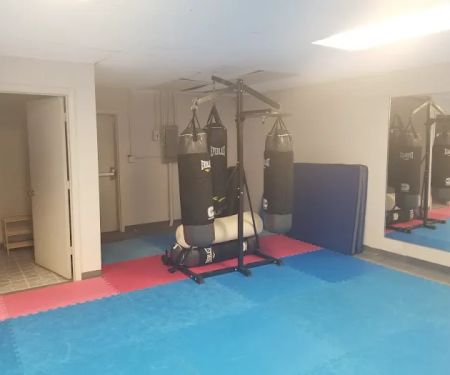 American P.I.T. Fighting Academy