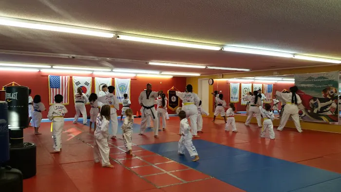 M. C. Kim's TaeKwonDo USA Picture 2