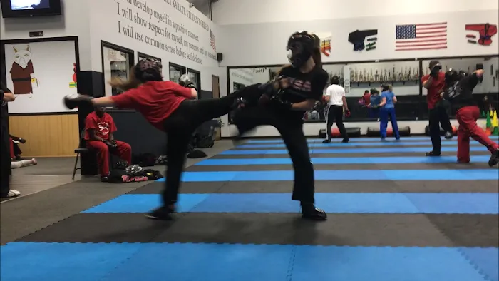 Genova Family Karate Picture 8