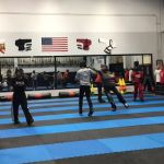 Genova Family Karate