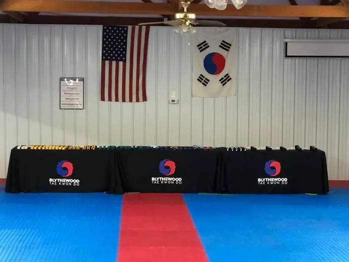 Blythewood Tae Kwon Do USA Picture 6