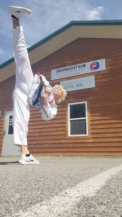 Blythewood Tae Kwon Do USA Picture 1