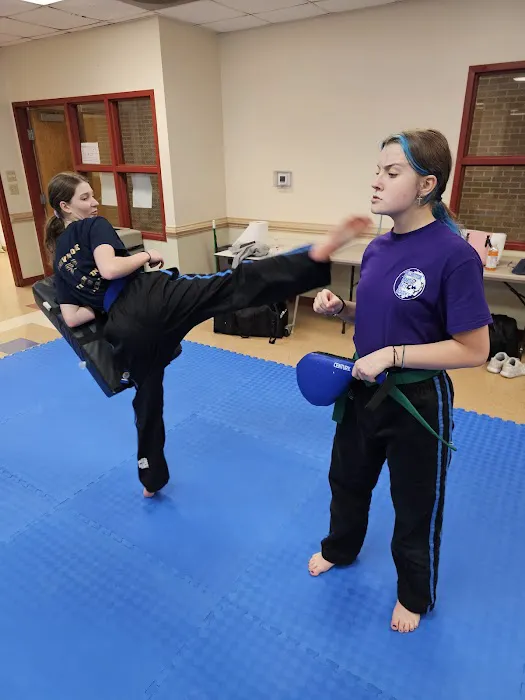 Allbritton Martial Arts Academy Picture 2