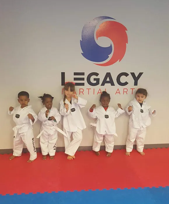 Legacy Martial Arts ~Irmo Picture 7
