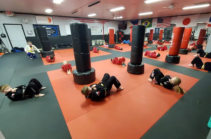 Keishidojo Martial Arts Unleashed Picture 2