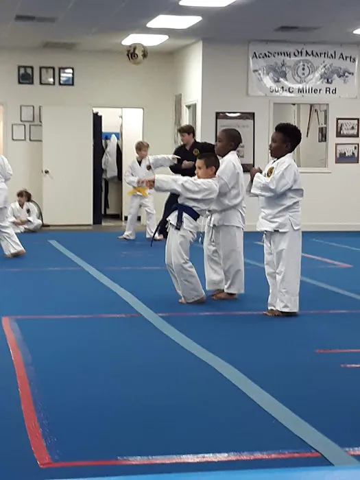 Academy of Martial Arts Picture 8