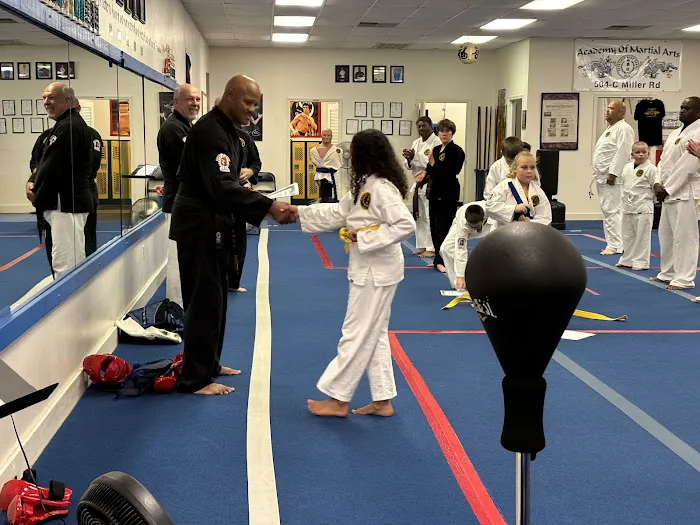 Academy of Martial Arts Picture 9