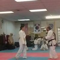 West Wateree Tae Kwon Do ico