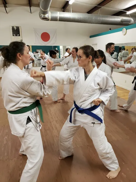 Midlands School of Martial Arts Picture 1