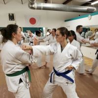 Midlands School of Martial Arts ico