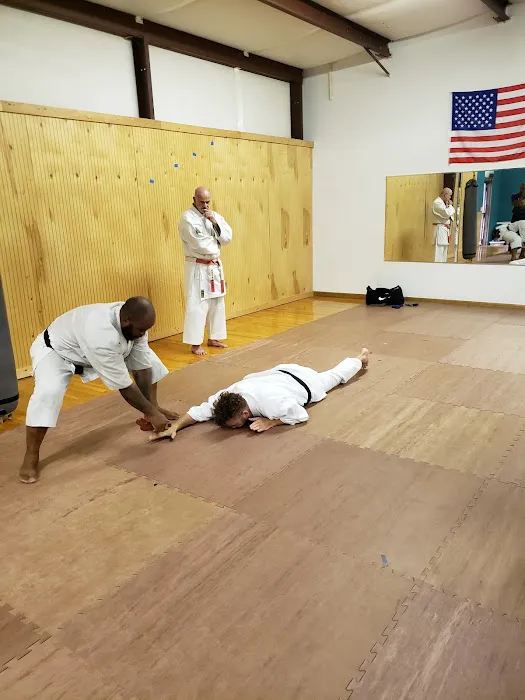 Midlands School of Martial Arts Picture 4
