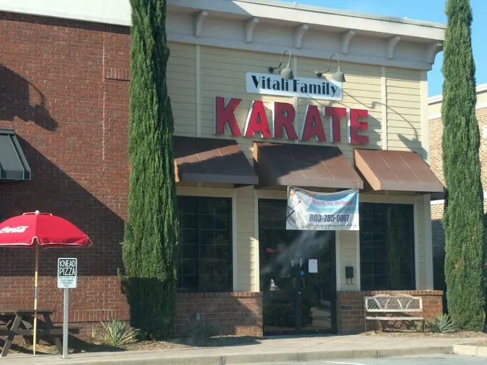 Vitali Family Karate Picture 5