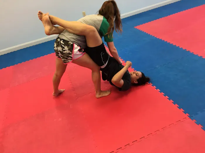 Martial Arts Training Center Picture 10