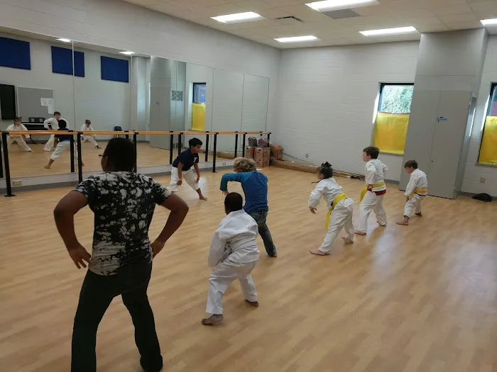 WellWithin Martial Arts Picture 2