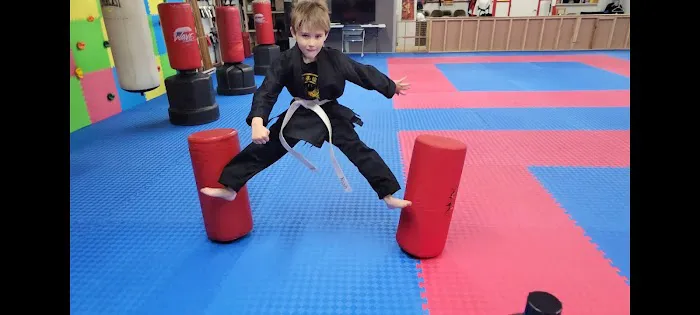 Carolina Family Karate Picture 4