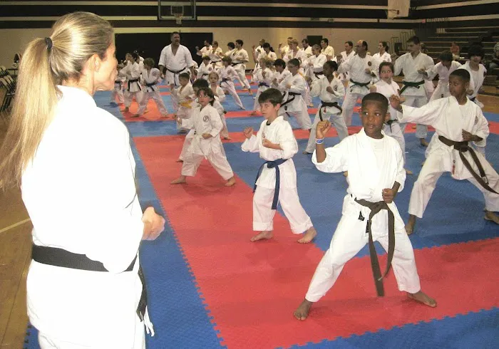 Carolina Family Karate Picture 9