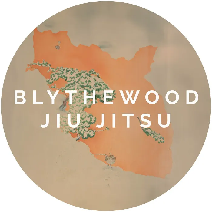 Blythewood Jiu Jitsu Picture 6