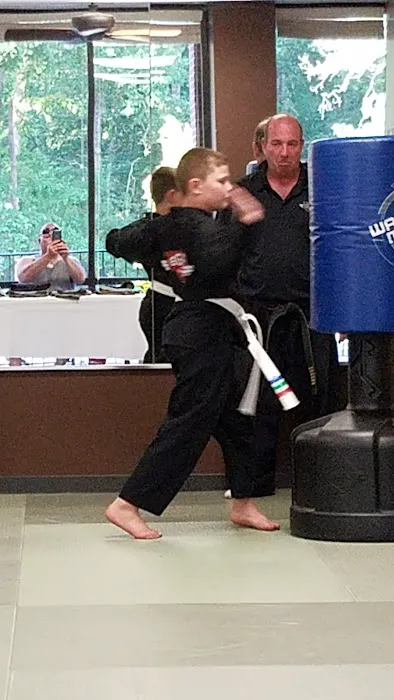 BGr8 Martial Arts Picture 3