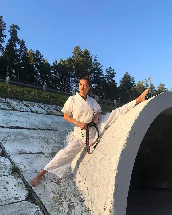 Universal School of Karate Picture 7