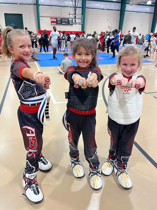 Allen Sport Karate Picture 4