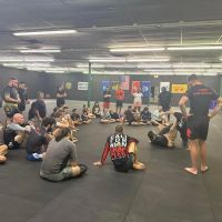 Basilisk Martial Arts ico