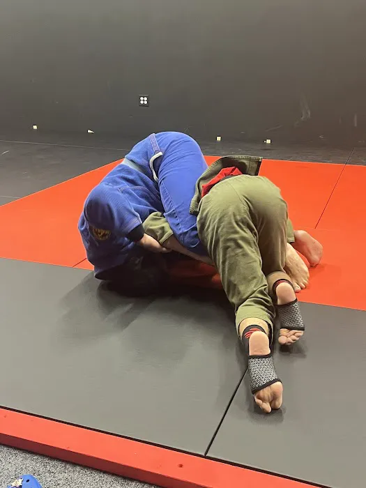 Rising Phoenix Jiu-Jitsu Academy Picture 1
