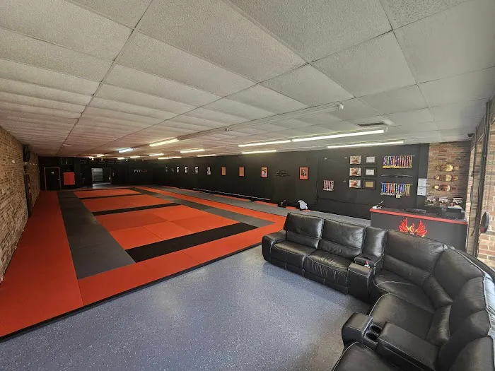 Rising Phoenix Jiu-Jitsu Academy Picture 8