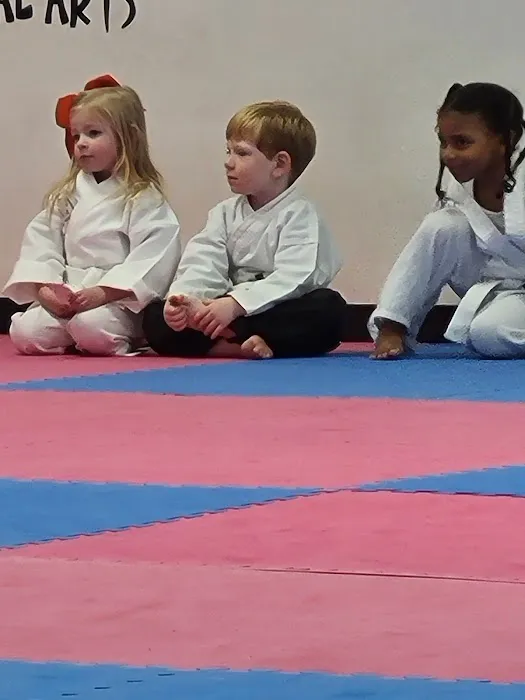 Aiken Taekwondo Academy Picture 2