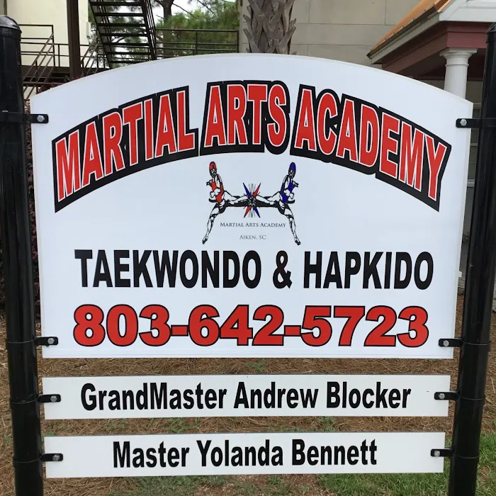 Martial Arts Academy Picture 7