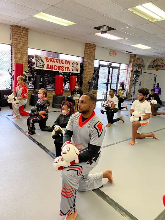 Williams Hybrid Sport Karate Picture 7