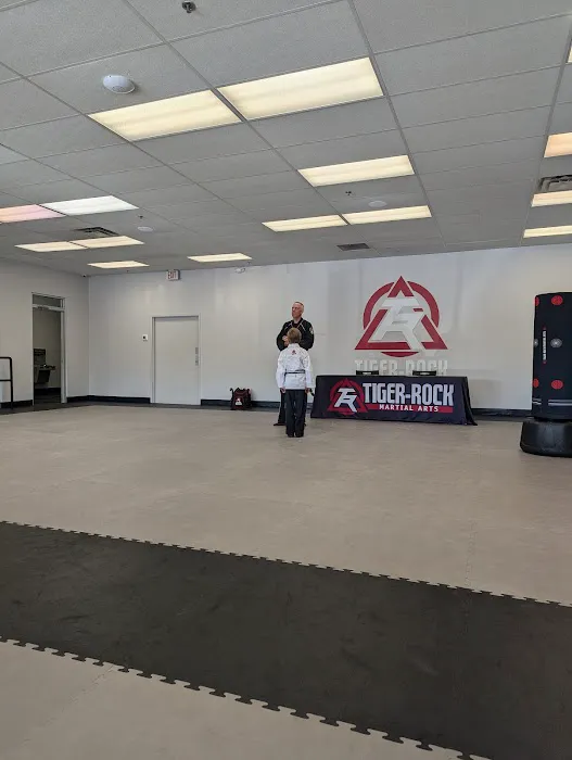 Tiger Rock Martial Arts of Evans Picture 4