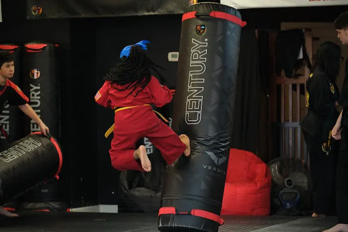 UMAD - Universal Martial Arts Dojos Picture 1