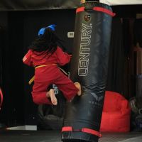 UMAD - Universal Martial Arts Dojos ico