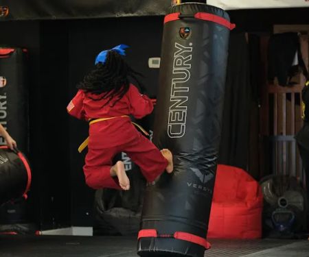 UMAD - Universal Martial Arts Dojos