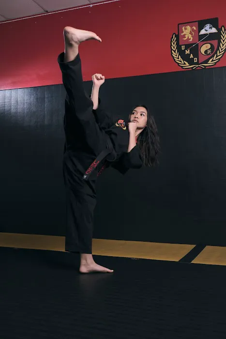 UMAD - Universal Martial Arts Dojos Picture 6