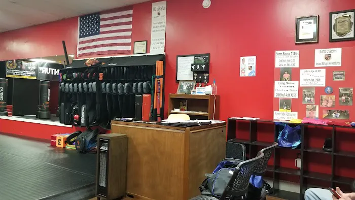 UMAD - Universal Martial Arts Dojos Picture 4