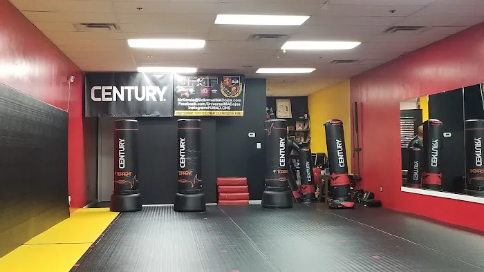 UMAD - Universal Martial Arts Dojos Picture 3