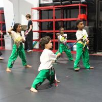 Seigler's Karate Center ico