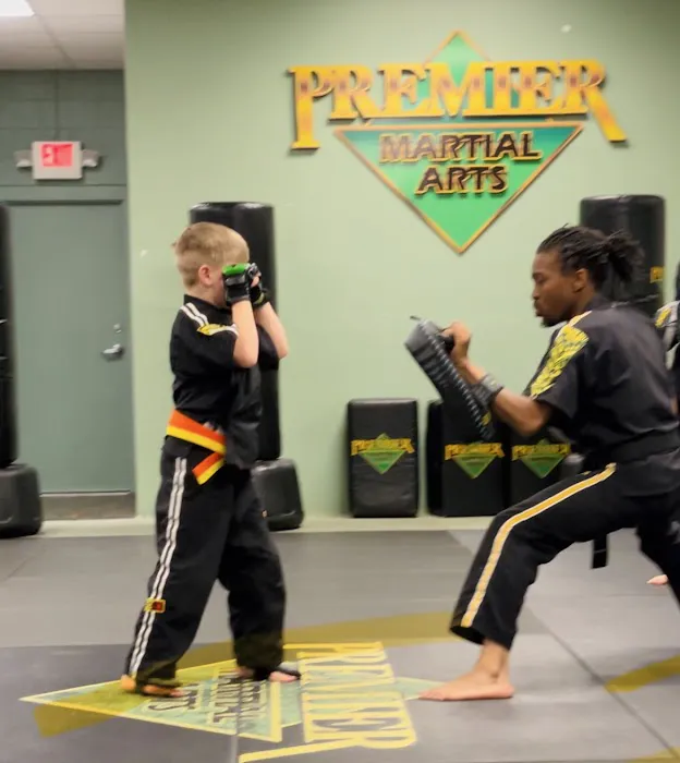 Premier Martial Arts Picture 1