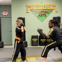 Premier Martial Arts ico