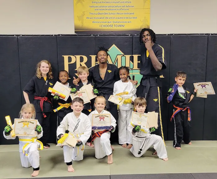 Premier Martial Arts Picture 3
