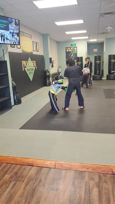 Premier Martial Arts Picture 4
