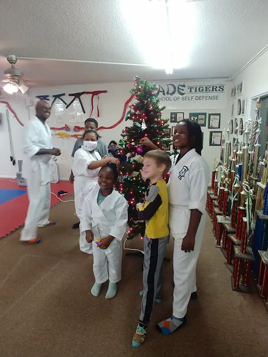 Jade Tigers School of Self-Defense Picture 5