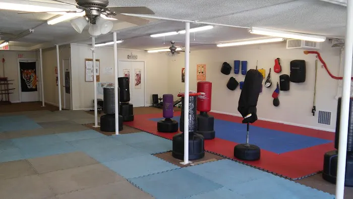 Jade Tigers School of Self-Defense Picture 4