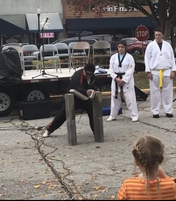 SRE Taekwondo: School of Martial Arts Picture 1