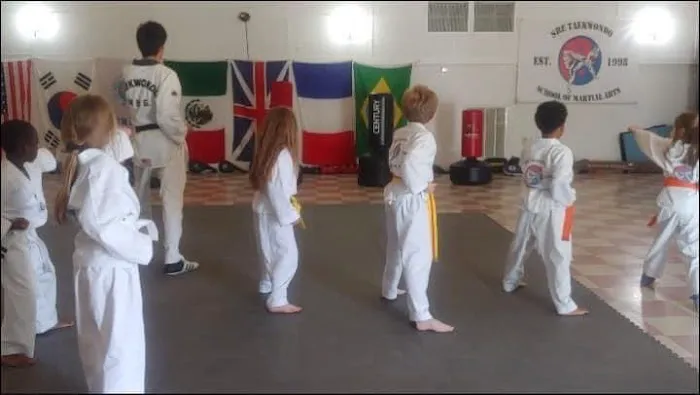 SRE Taekwondo: School of Martial Arts Picture 5