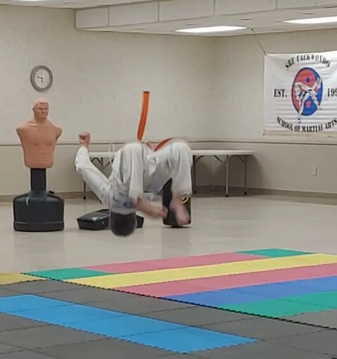 SRE Taekwondo: School of Martial Arts Picture 10